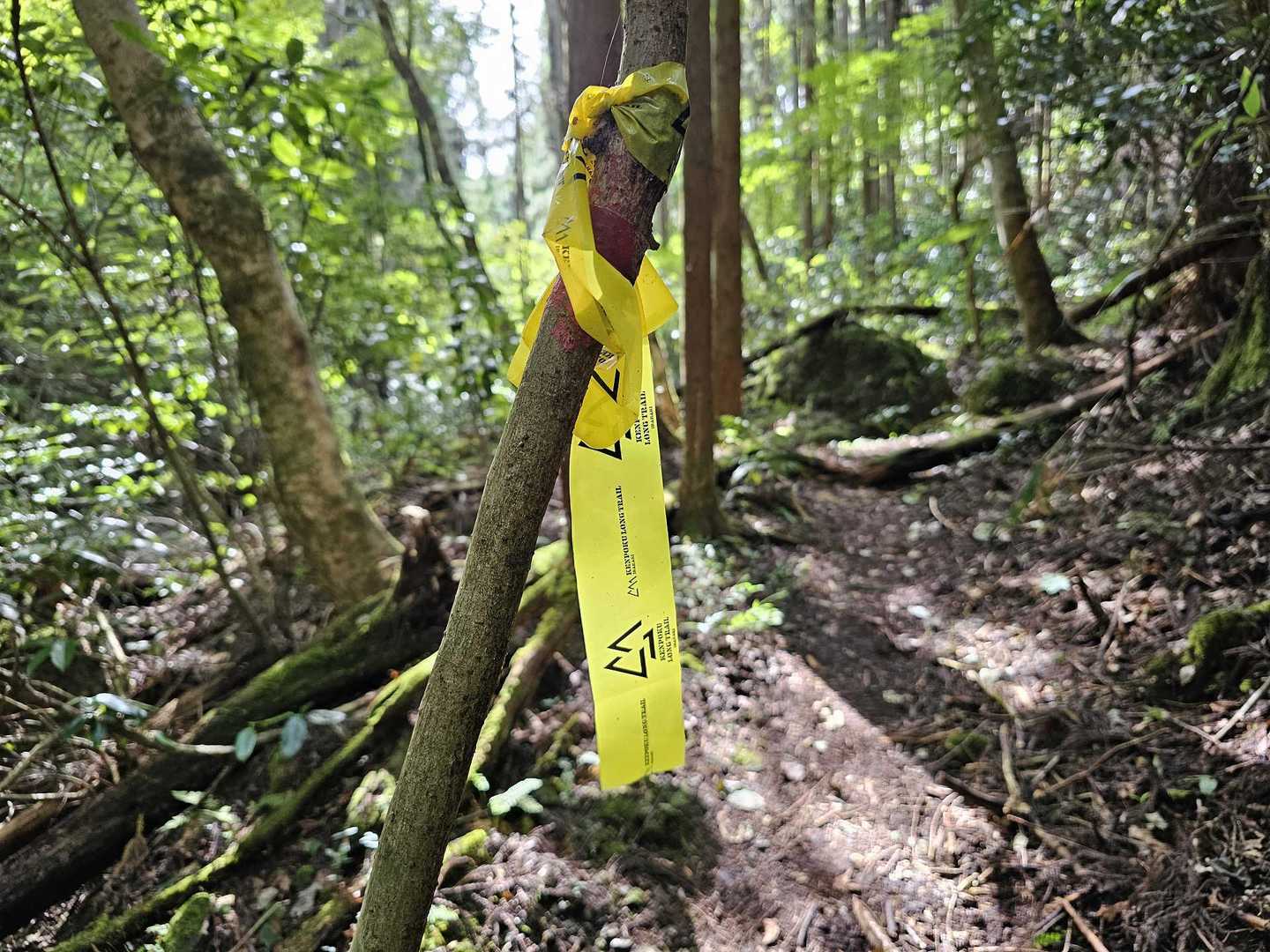 おかめ山西峰 往復コースの写真
