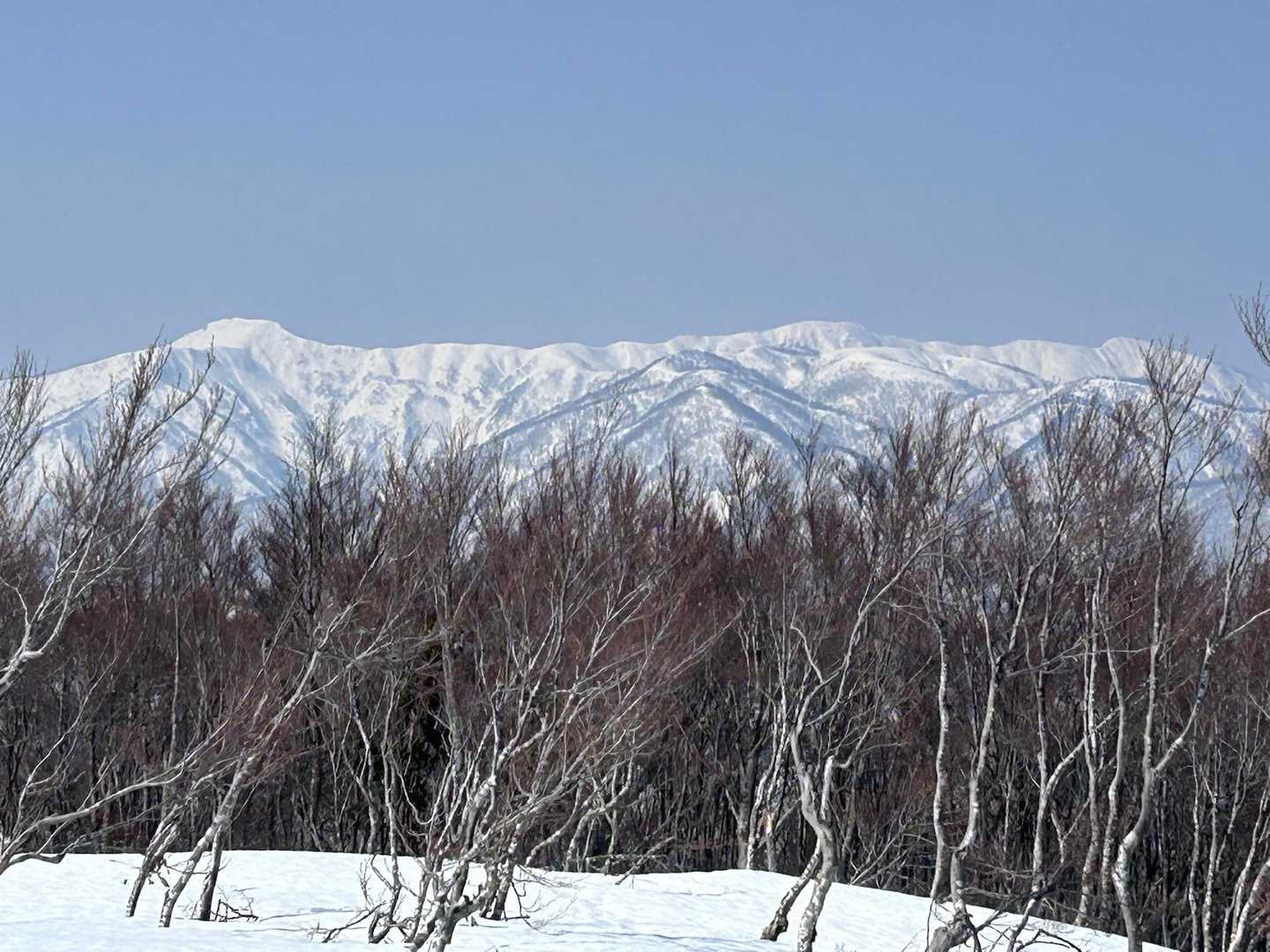 栃谷登山口-片折岳-金剛堂山-中金剛堂山 往復コースの写真