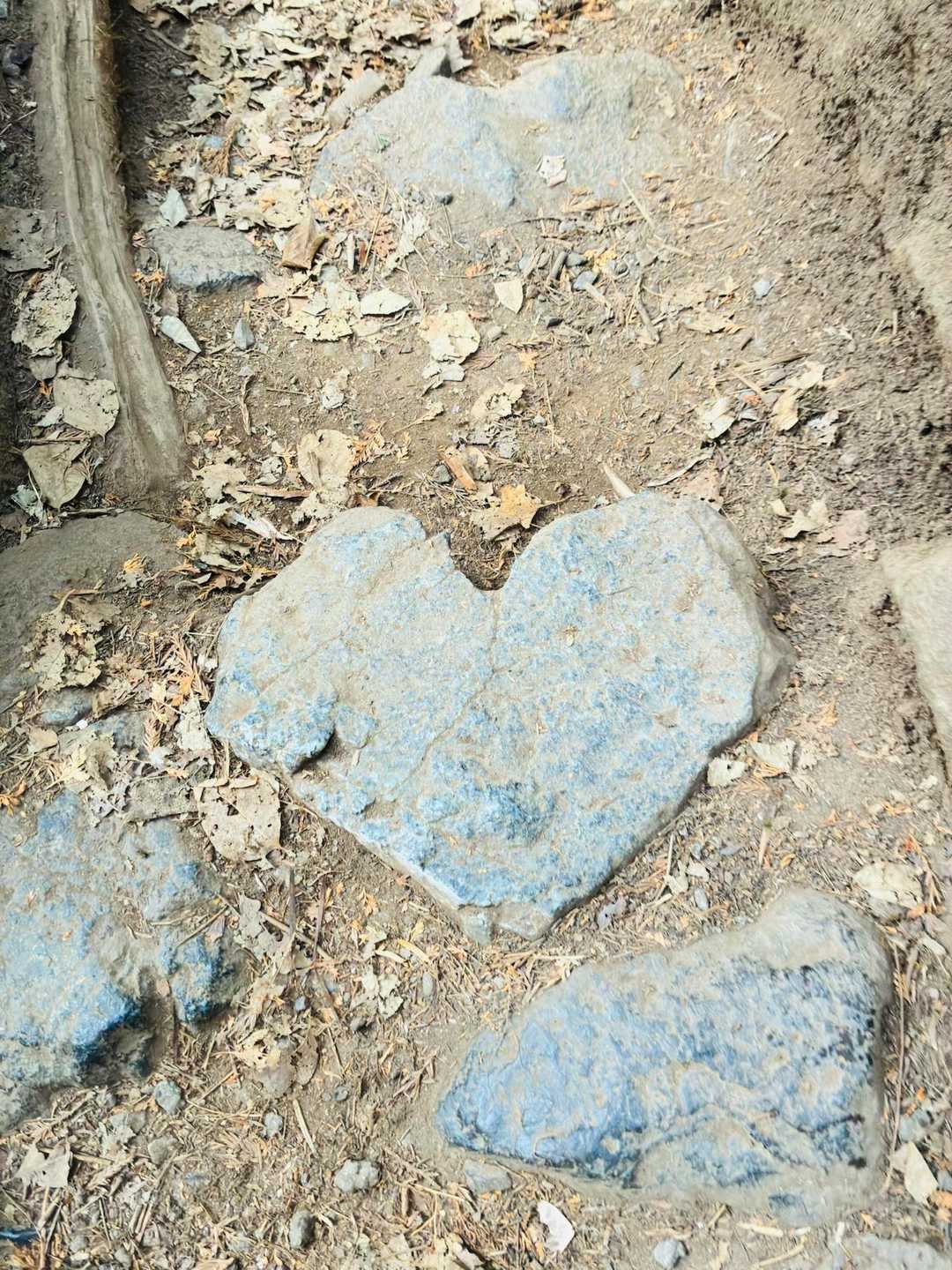ハートの石❤️発見😍❣️