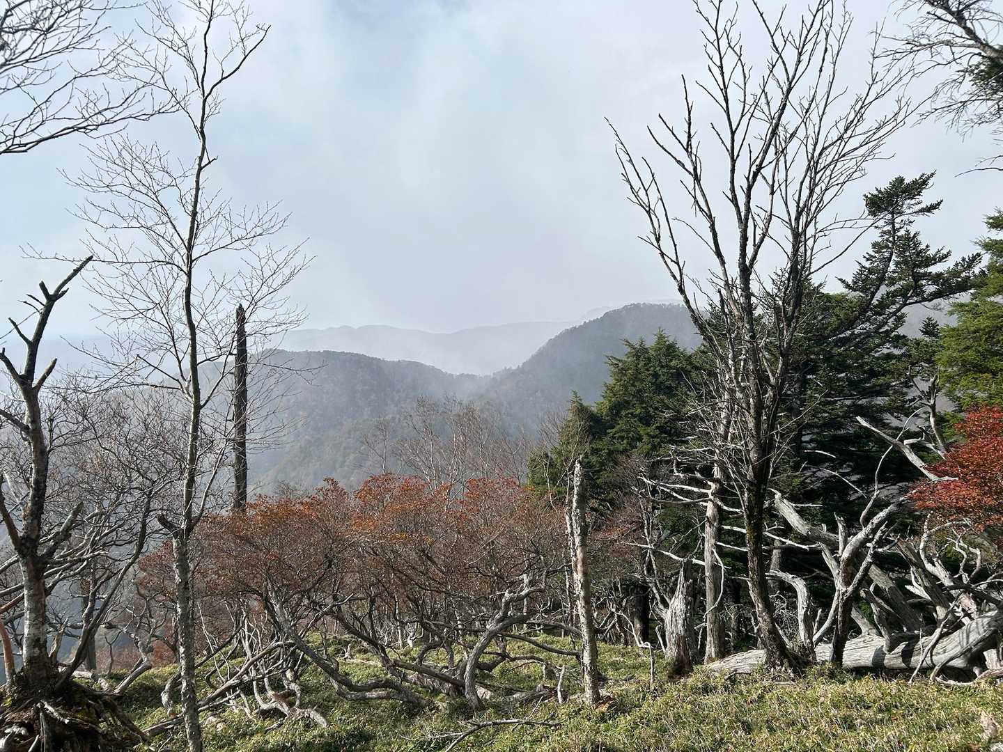 大谷嶺、山伏方面は完全に降雪中。