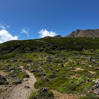 登り返し
何時間か3000m弱の高度を歩いていると少し歩き方のコツが分かった