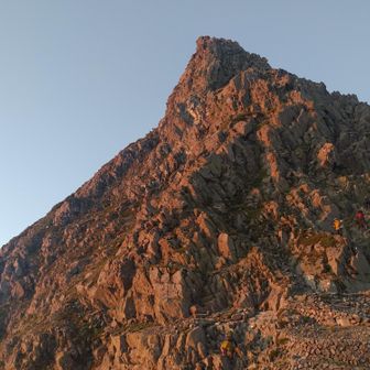 ハクサンフウロ