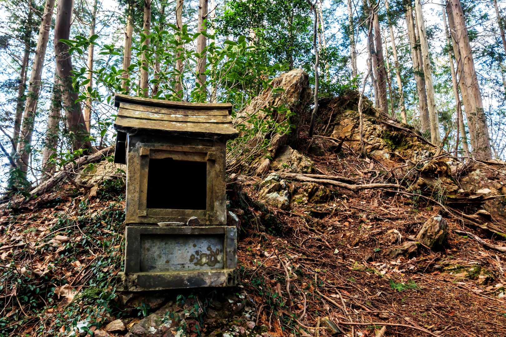 八瓶山の祠。
この辺は森林歩きが爽やかです。
