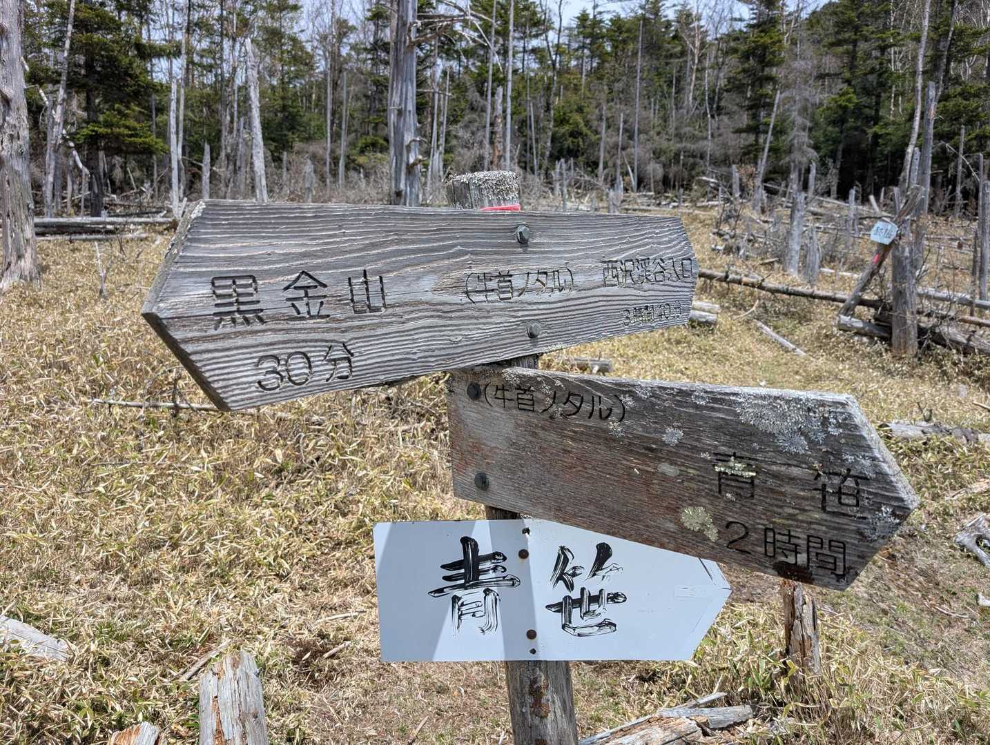 牛首のタルに😀💦