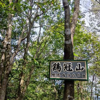 山頂。同じく全身汗まみれのトレイルランナーとすれ違う。