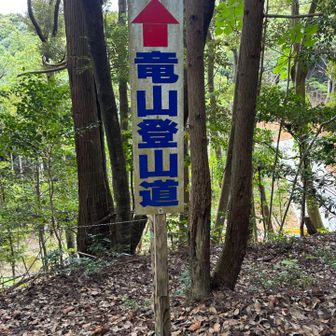 登山口
ここからいきなり100m超ブッシュ系ビビった