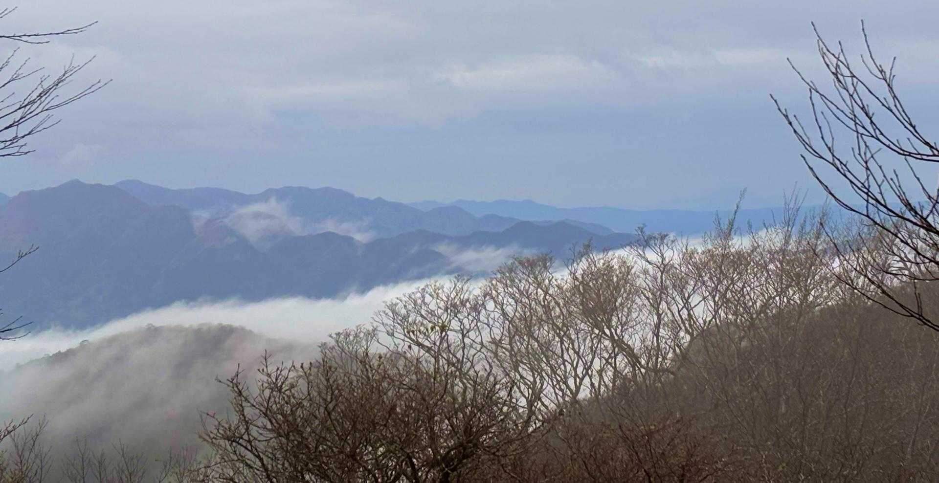諸塚山 往復コースの写真