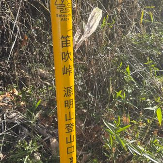 瀬戸内アルプスへ。
ここからは先程の瀬戸内西アルプスとは様変わり。
歩きやすく明るい登山道。アップダウンは変わりないけど、ツタのトラップなく歩きやすい