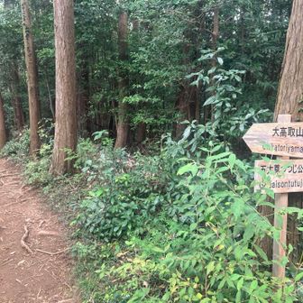 大高取山へ