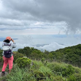 別府湾をはさんで、奥に大分の街並み