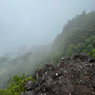 真っ白