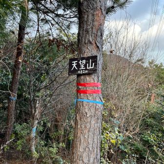 ここがマイナーピーク、天望山🙌