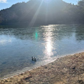 反射が眩しい✨