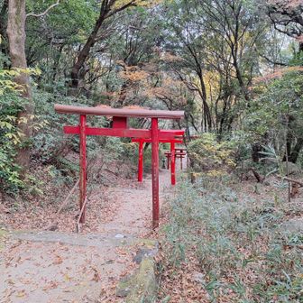 赤い鳥居が並ぶ石段を下りると、スタート地点の駐車場だ。