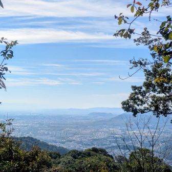 沓掛山からの景色