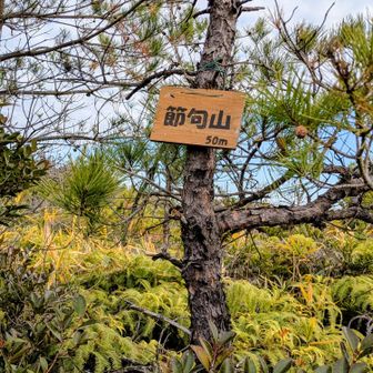 ⑤節句山に登頂です🙌