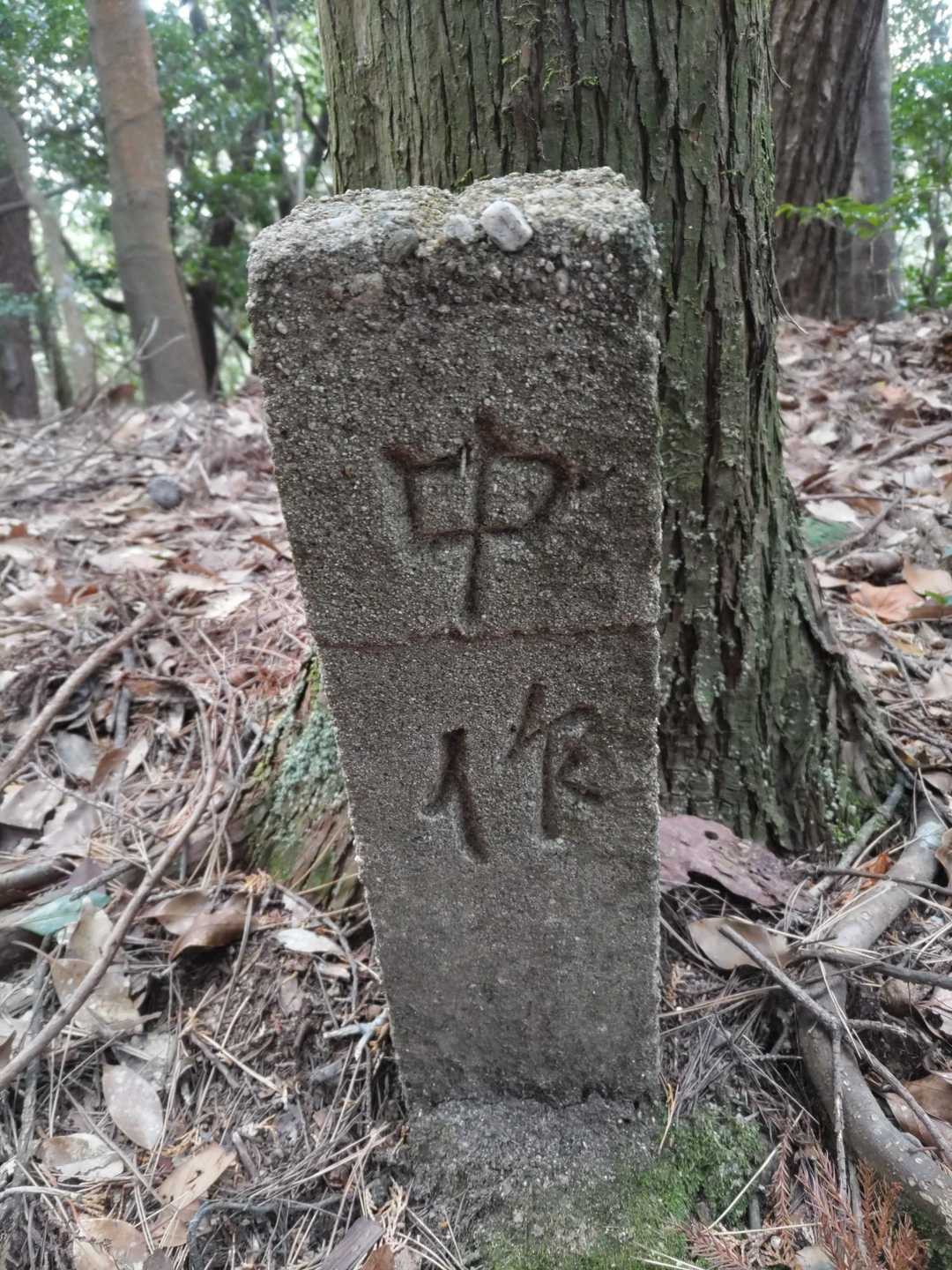 中村さんの山❓