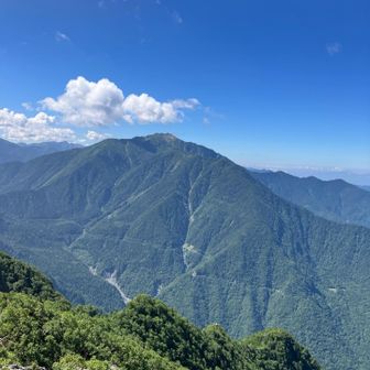 鹿窓は無理そうなのでまた今度。
って言うかはじめから行く気なし〜
山頂にお一人と帰りにお一人スライド。