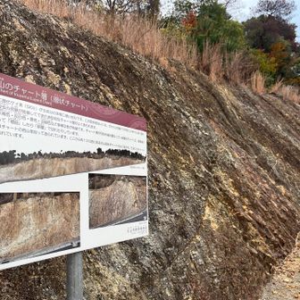 犬山チャート層📊