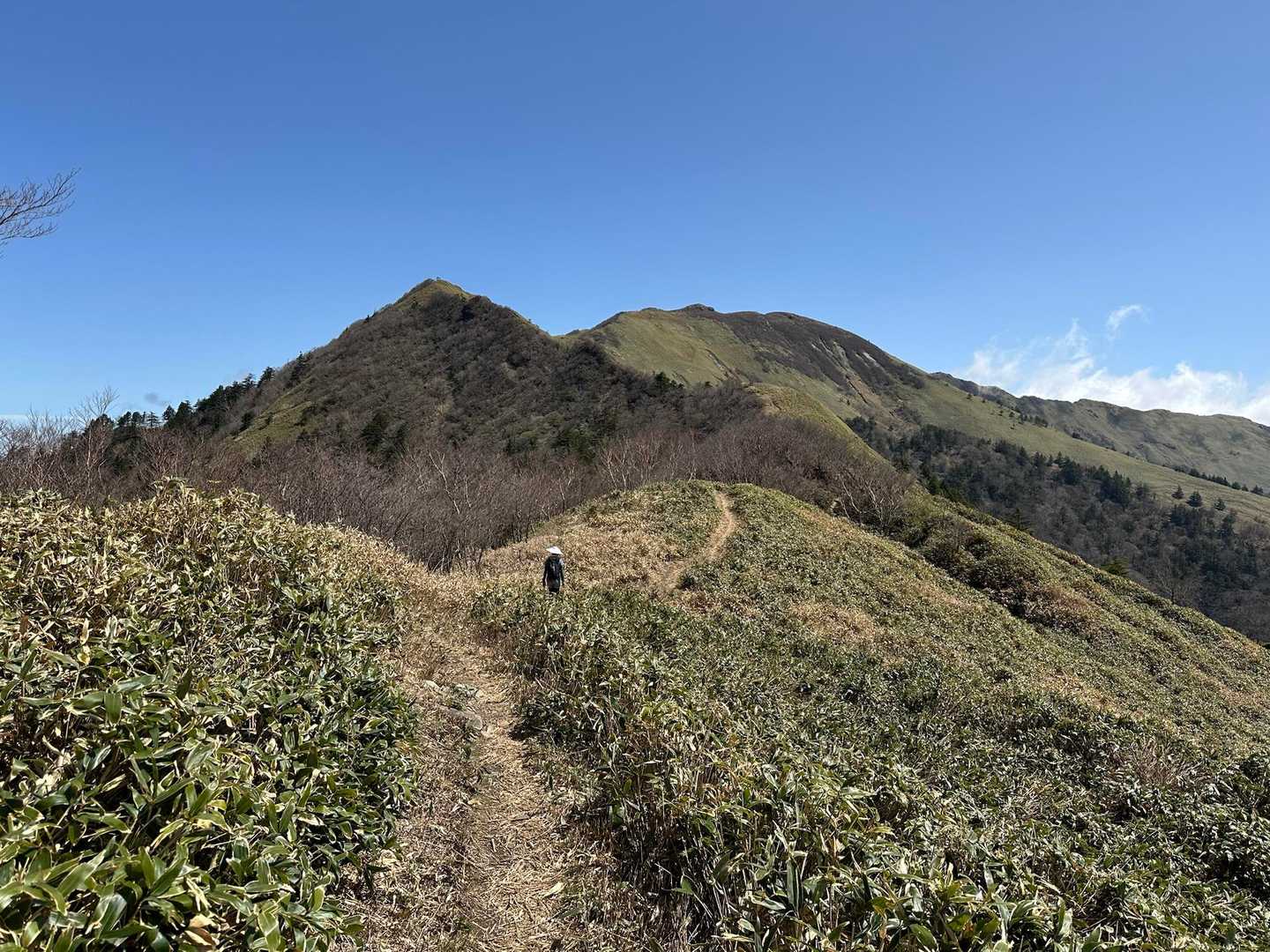 寒風山・笹ヶ峰周回 | 急登の先にひろがる四国名峰。360度のパノラマコースの写真