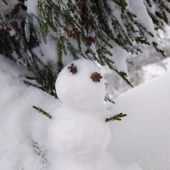 可愛い雪ダルマ⛄️が、出来ています😊✌
作成者は🐭ちゃんね💕