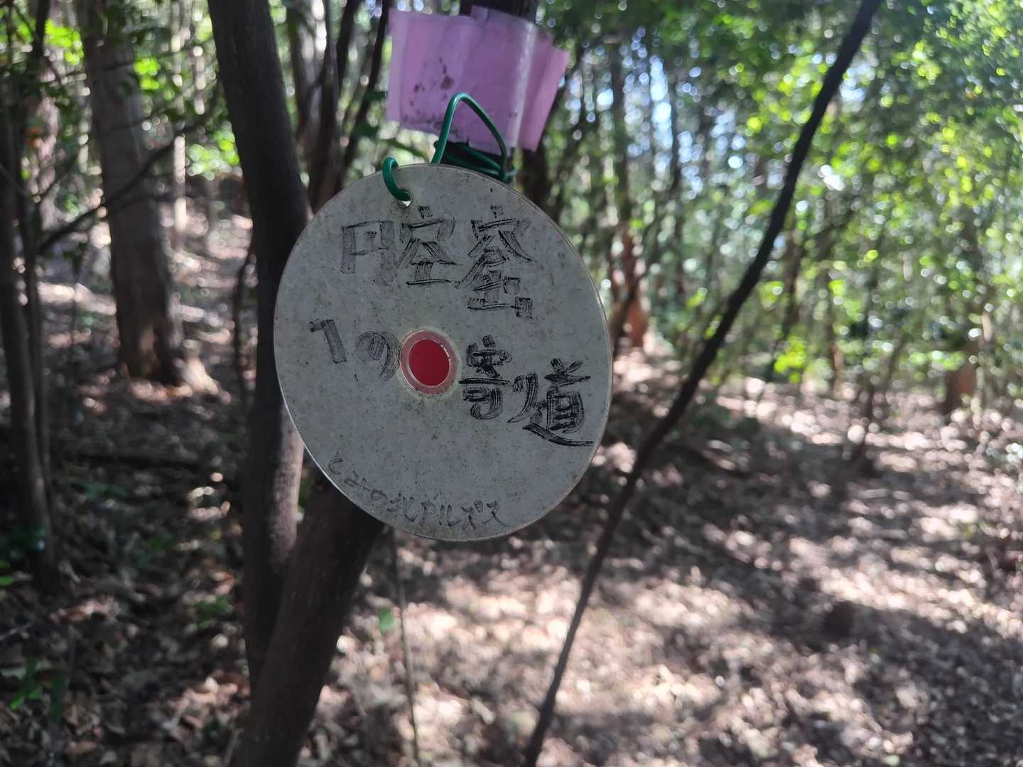 寄り道してみたのですが発見出来ませんでした😢円空さんごめんなさい🙏