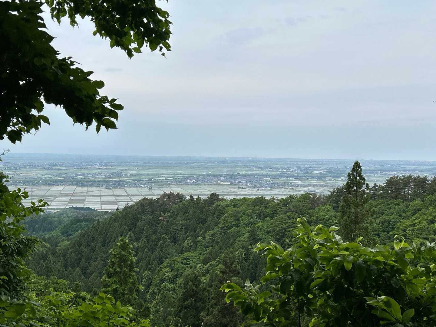 大平山 周回コースの写真