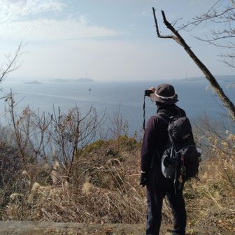 からのビュー。