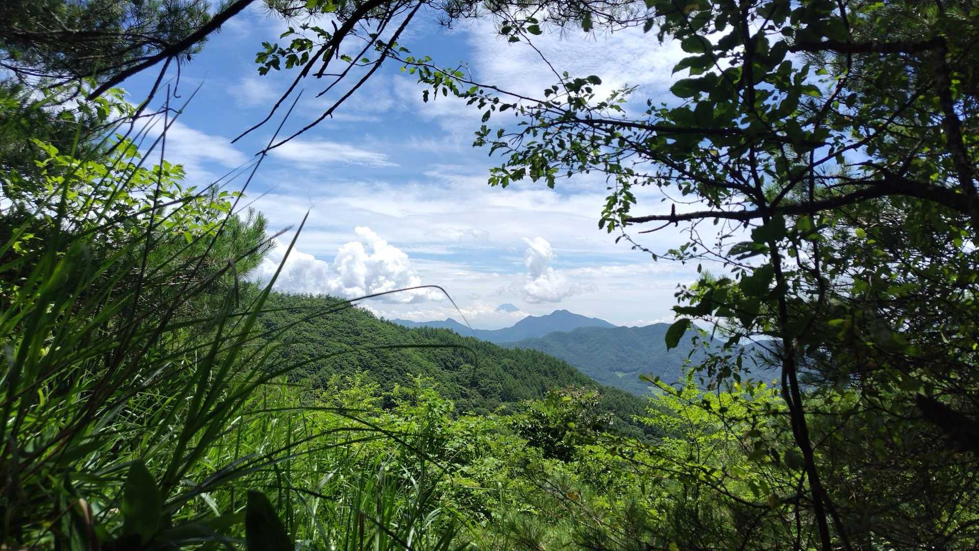 登山道からも富士山ガチラリ。