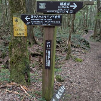 富士スバルライン五合目まで
いつか機会かあれば歩いてみたい🌿