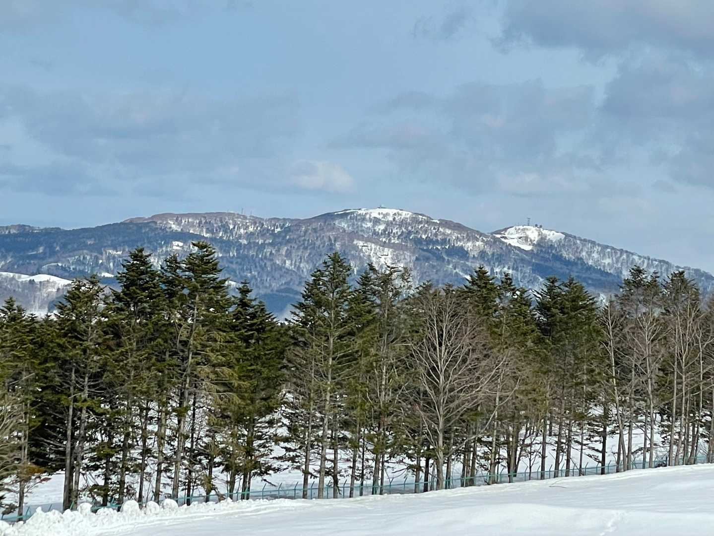 これ何山だろう？