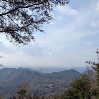 今日は曇り、そこそこ綺麗です🍂