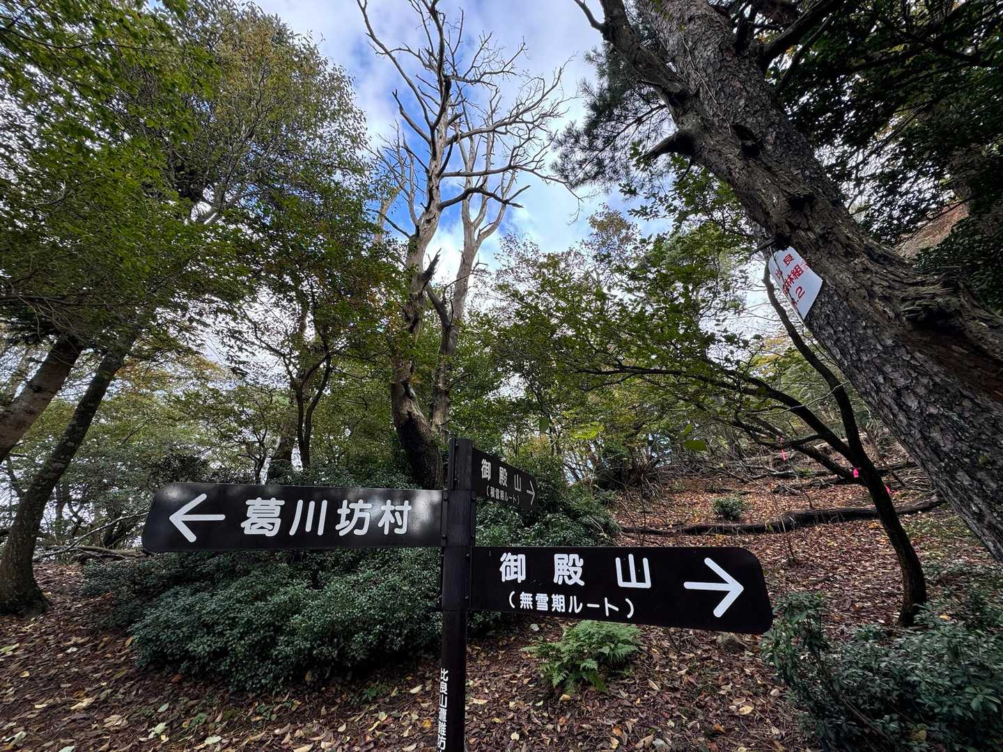 九十九折りの急登のあとには‥