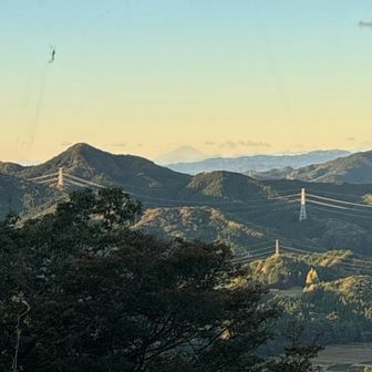 ズーム🗻