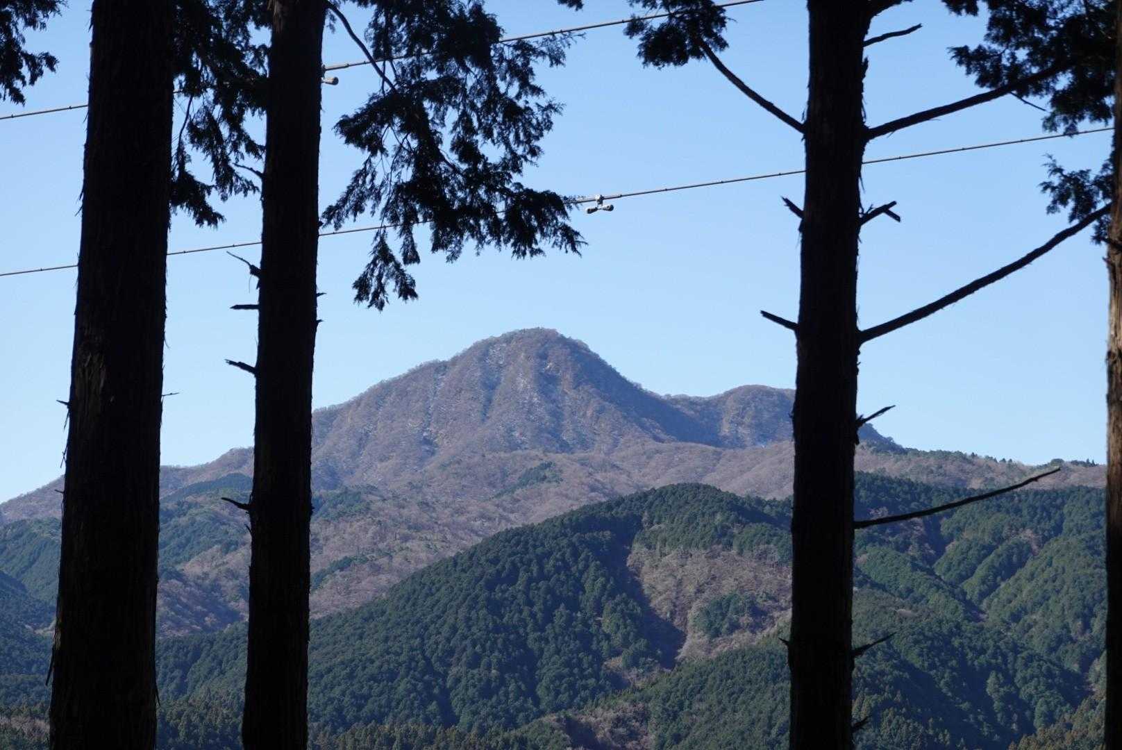 地蔵堂バス停-山伏平-矢倉岳-万葉公園バス停-足柄峠 周回コースの写真