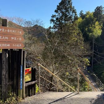 ここからスタート。
この階段目がバグります。