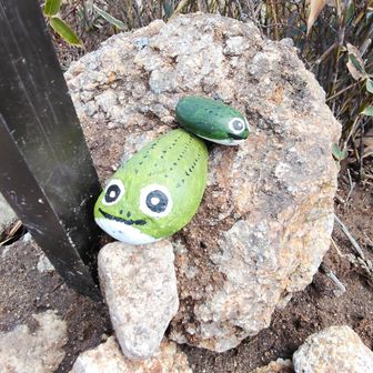 どなたかの作品が！
可愛くて登頂の疲れを癒してくれます