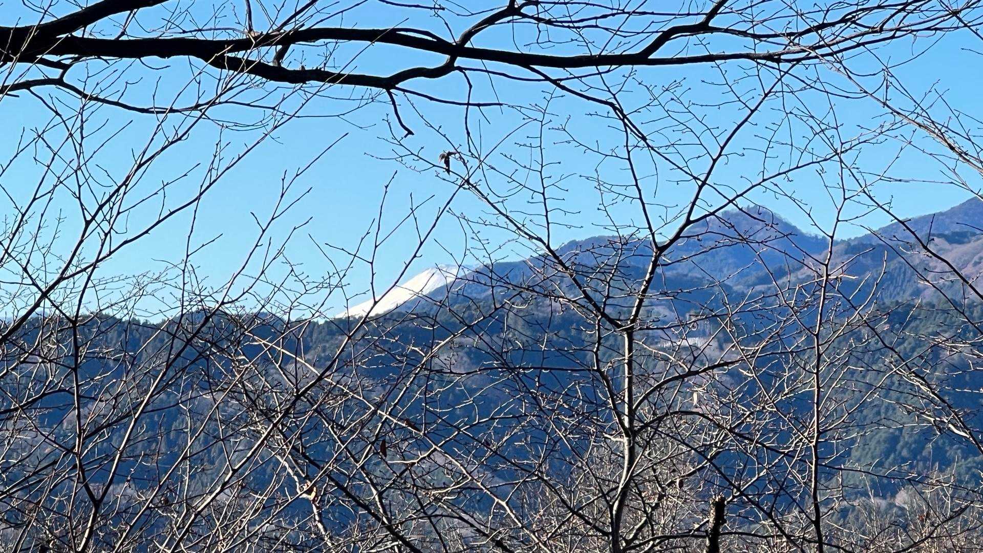 くまの気配なーし。こんなとこから富士山見える😊