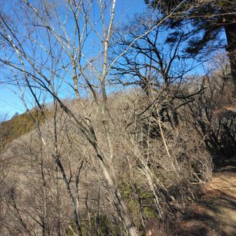 初めてのルート