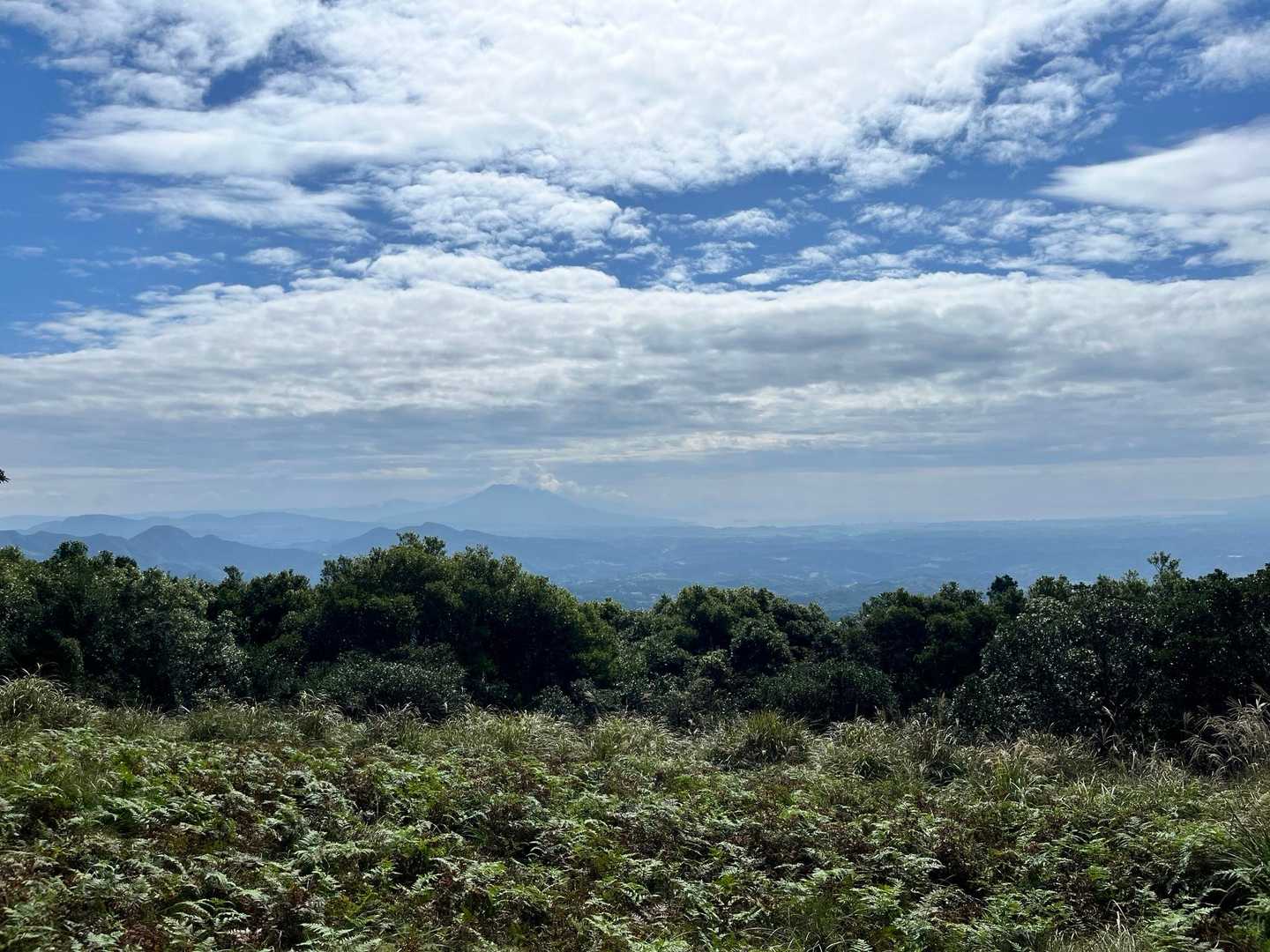 八重山登山道入口-炭焼窯跡-八重山 往復コースの写真