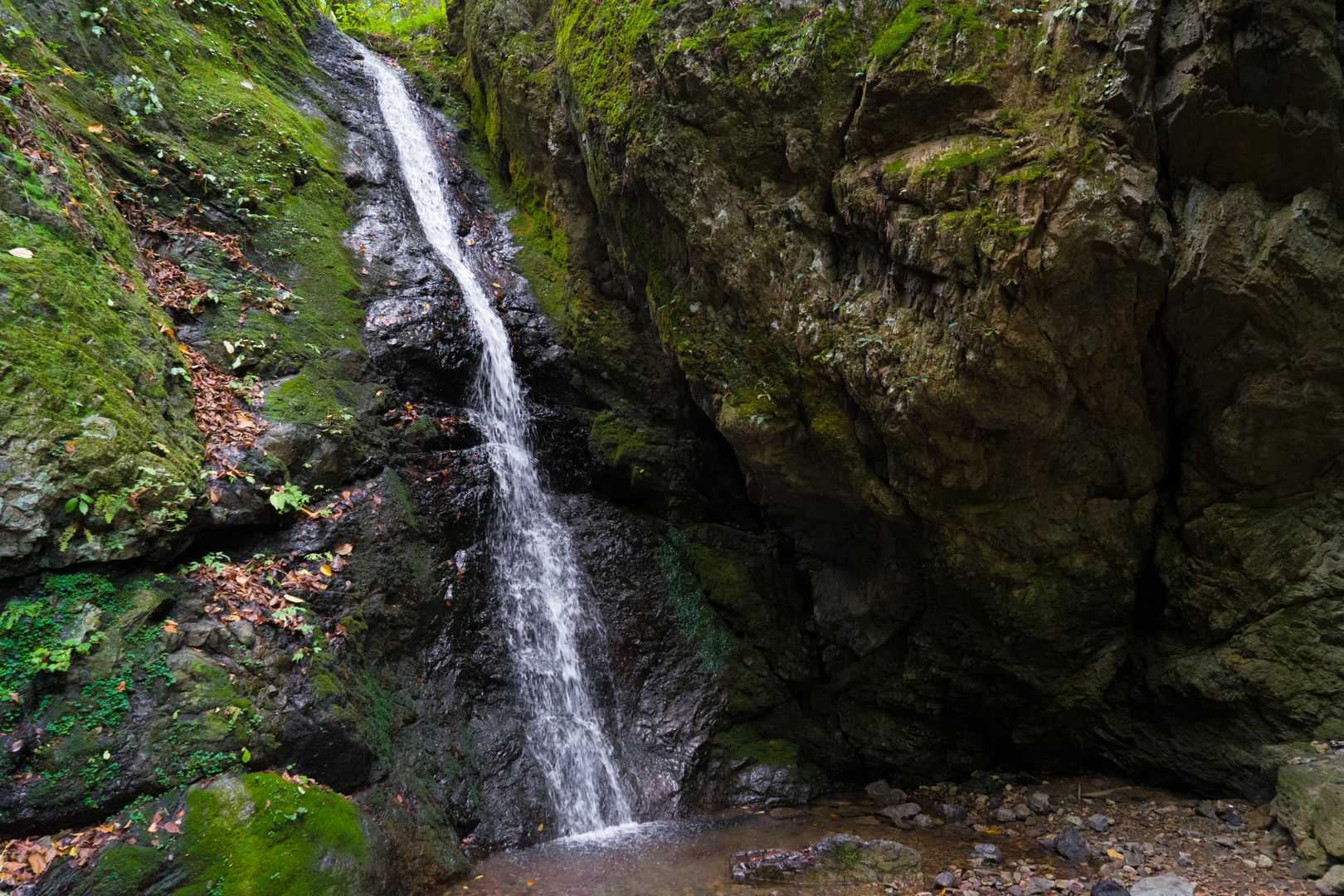 御岳山の写真