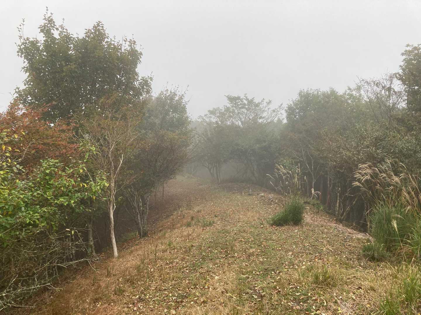 ガスガスしてます☁️