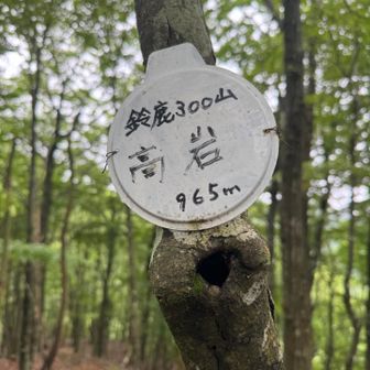 高岩（たかいわ）  標高965m ⛰️
作ノ峰の近くで、クラシジャンダルムへ続く尾根上にあるピーク