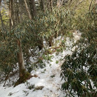 チェンスパだな装着
最近敢えてこんな山ばかり選んで来てるね
ドラクエみたくEXP経験値稼ぎ
