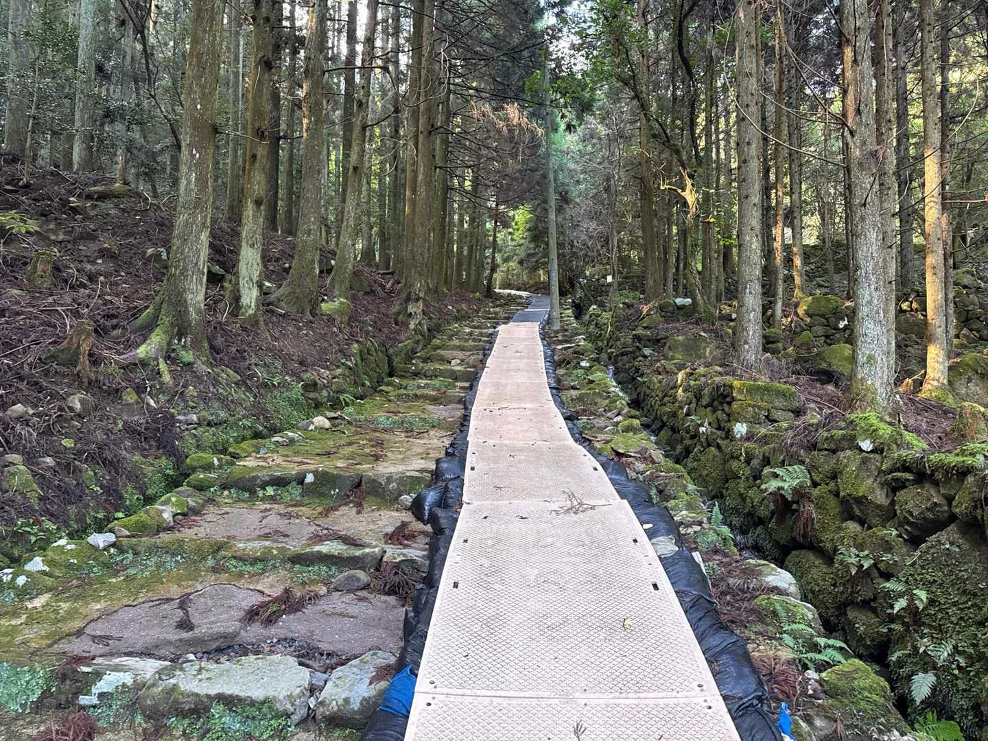 求菩提山 往復コースの写真