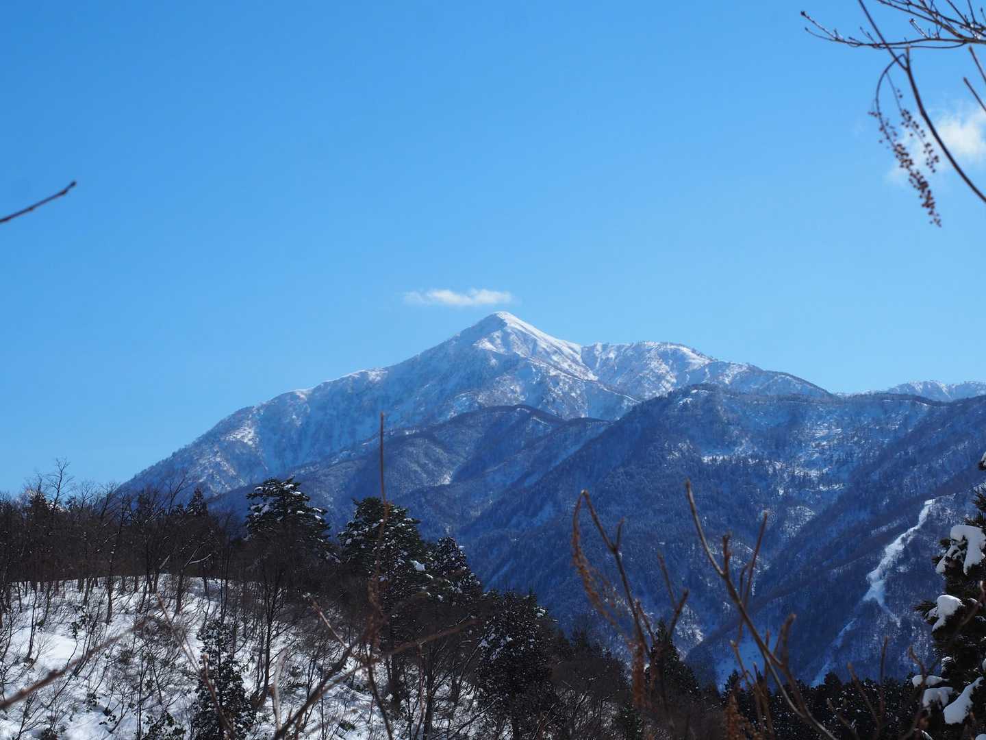 大丸山-来拝山 往復コースの写真