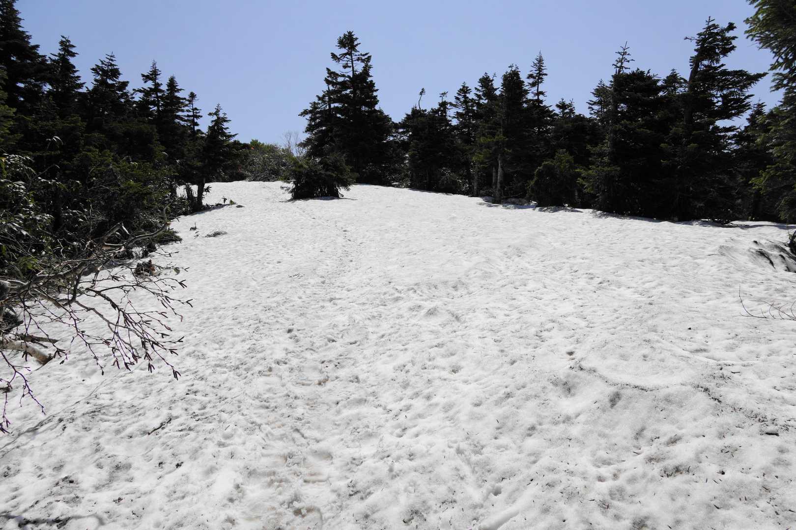 久しぶりの雪、やっぱり山は良いいなぁ、