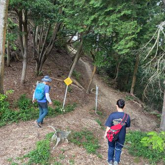 さっ降りよかー😊お疲れ山ー