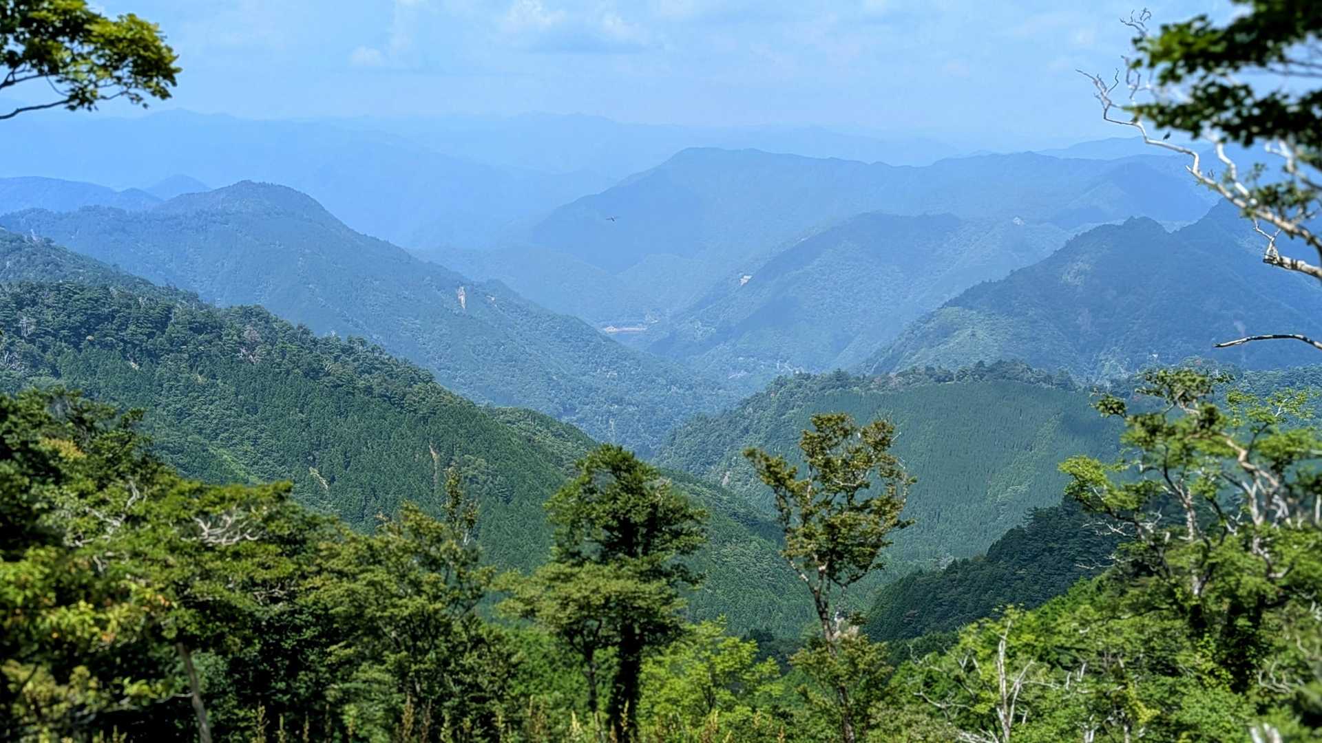 太尾登山口-古田ノ森-千丈平-釈迦ヶ岳 往復コースの写真