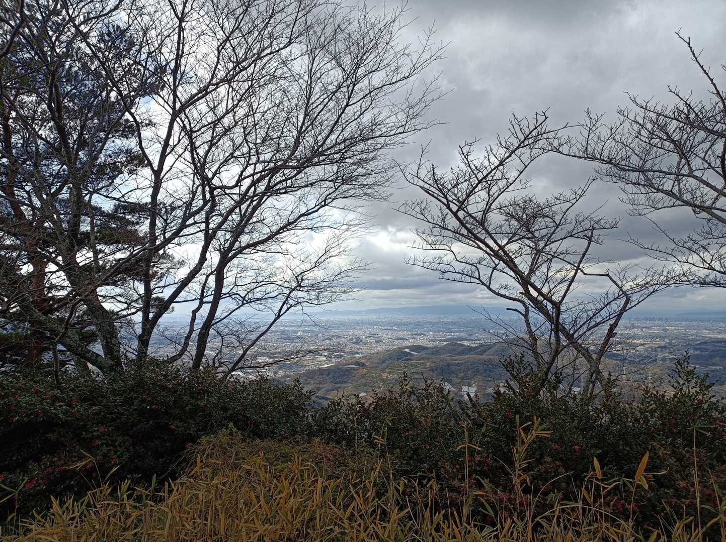 大阪湾がよ～見えるわ！